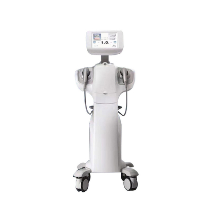 Ultrasons concentrés à haute intensité Hifu Vaginals soins de rajeunissement Vaginas machine de resserrement